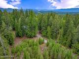 1298 Raven Ridge Rd - Photo 48