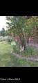 1512 Open Gate Ln - Photo 63
