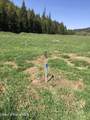 L6 Horn Hooked Estates - Photo 9