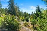 13259 Baldy Mountain Rd - Photo 29