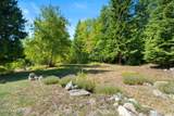 13259 Baldy Mountain Rd - Photo 35