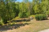 13259 Baldy Mountain Rd - Photo 36