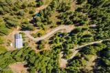13259 Baldy Mountain Rd - Photo 40