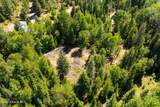 13259 Baldy Mountain Rd - Photo 41
