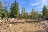 13259 Baldy Mountain Rd - Photo 45