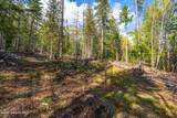 13259 Baldy Mountain Rd - Photo 46