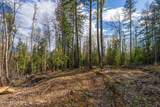 13259 Baldy Mountain Rd - Photo 47
