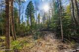 13259 Baldy Mountain Rd - Photo 49