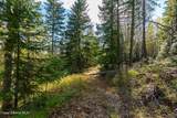 13259 Baldy Mountain Rd - Photo 50