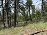 36701 Highway 41 - Photo 39