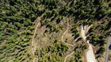 11817 Garrett Ct - Photo 18
