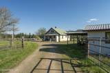 1050 Eastside Rd - Photo 9