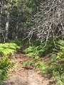 51833 Silver Valley Rd - Photo 10