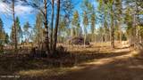 773 Cougar Loop - Photo 11