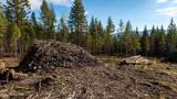 773 Cougar Loop - Photo 8