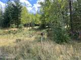 278 Diamond Hitch Dr - Photo 10
