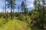 821 Star Garnet Rd - Photo 10