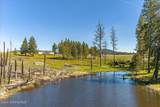 1061 Canyon Ridge Dr - Photo 74