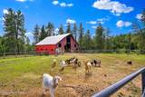 6420 Hells Gulch Rd - Photo 51