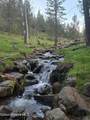6420 Hells Gulch Rd - Photo 54