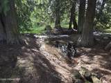 6420 Hells Gulch Rd - Photo 77
