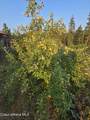 6420 Hells Gulch Rd - Photo 78