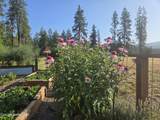 6420 Hells Gulch Rd - Photo 83