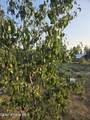 6420 Hells Gulch Rd - Photo 84