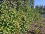 6420 Hells Gulch Rd - Photo 85