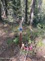 1202 Porkchop Rd - Photo 47