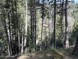 1202 Porkchop Rd - Photo 48