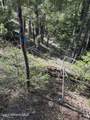 1202 Porkchop Rd - Photo 49