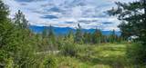 NNA Two Tail Rd - Photo 3