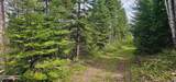 NNA Two Tail Rd - Photo 5