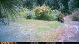7316 Radford Ln - Photo 43
