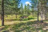18341 Highway 53 - Photo 35