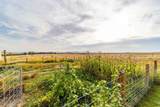22810 Rockford-Idaho Rd - Photo 100