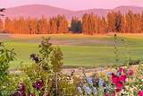22810 Rockford-Idaho Rd - Photo 5