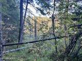 418 Janes Ln - Photo 11