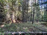 418 Janes Ln - Photo 13