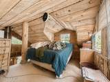 1546 Pup Paw Trl - Photo 13