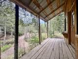 1546 Pup Paw Trl - Photo 16