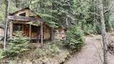 1546 Pup Paw Trl - Photo 23