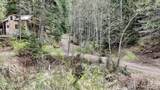 1546 Pup Paw Trl - Photo 24
