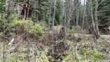 1546 Pup Paw Trl - Photo 25
