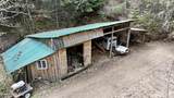 1546 Pup Paw Trl - Photo 32