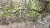 1546 Pup Paw Trl - Photo 35