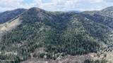 1546 Pup Paw Trl - Photo 38