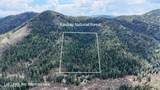 1546 Pup Paw Trl - Photo 39