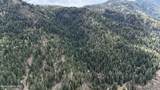 1546 Pup Paw Trl - Photo 40
